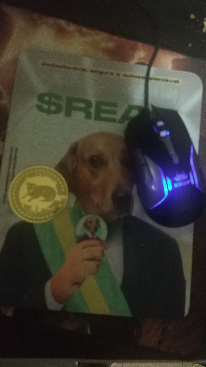 meme $REAU