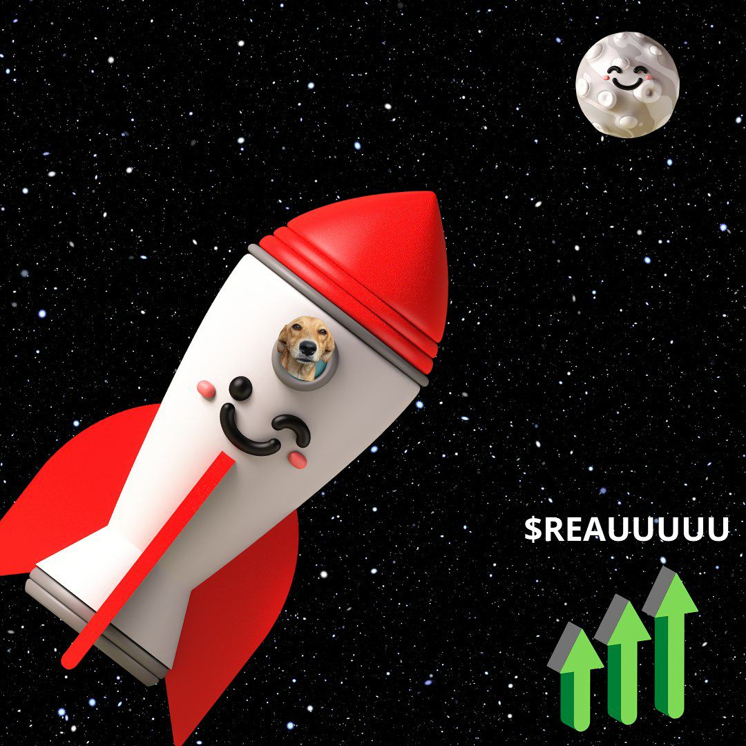 meme $REAU
