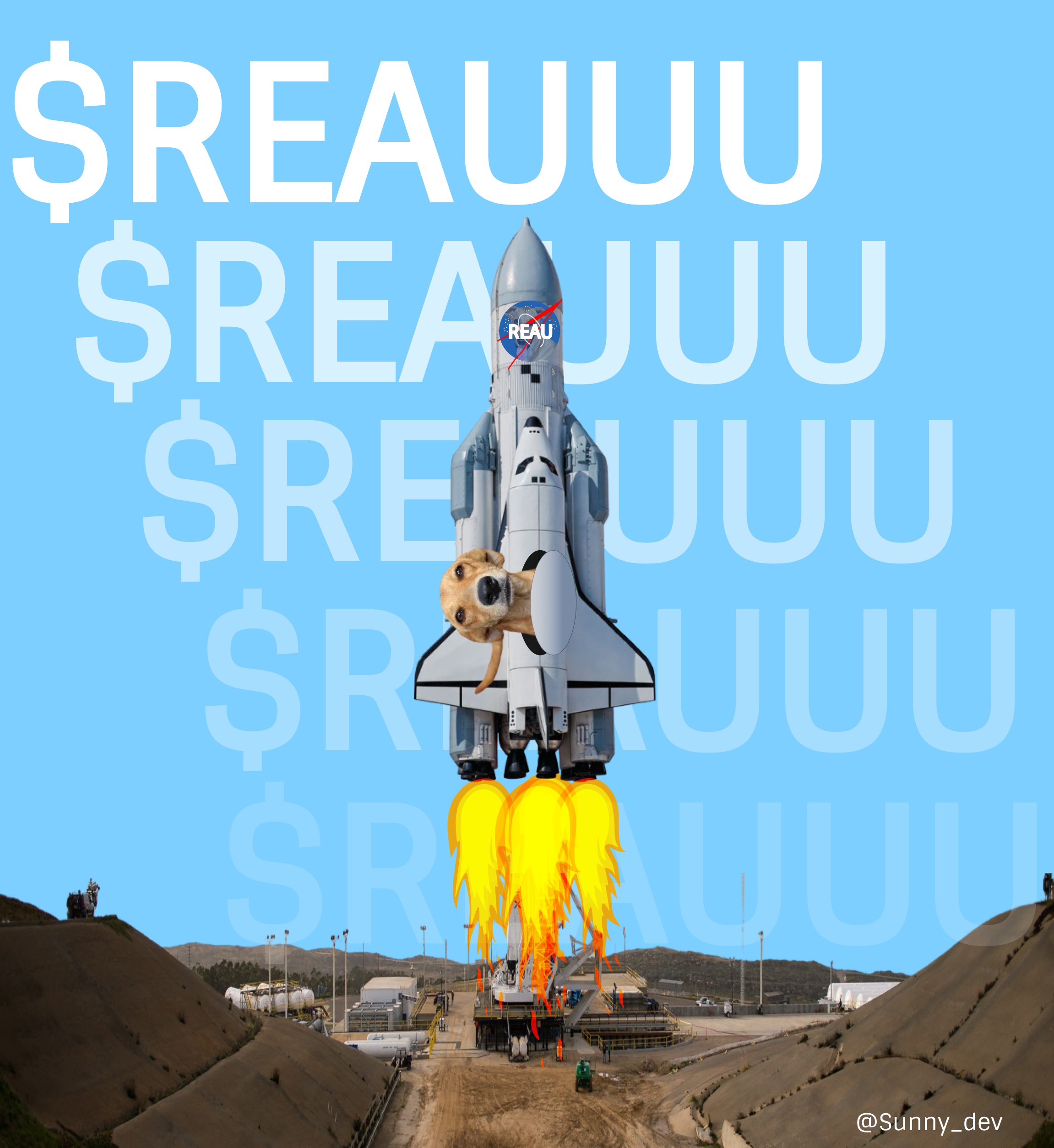 meme $REAU