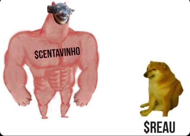 meme $REAU
