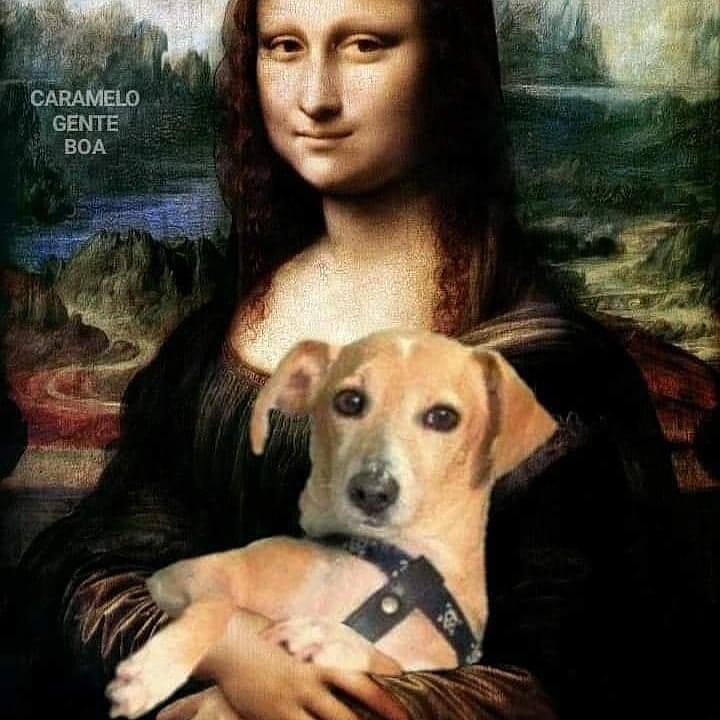 meme $REAU