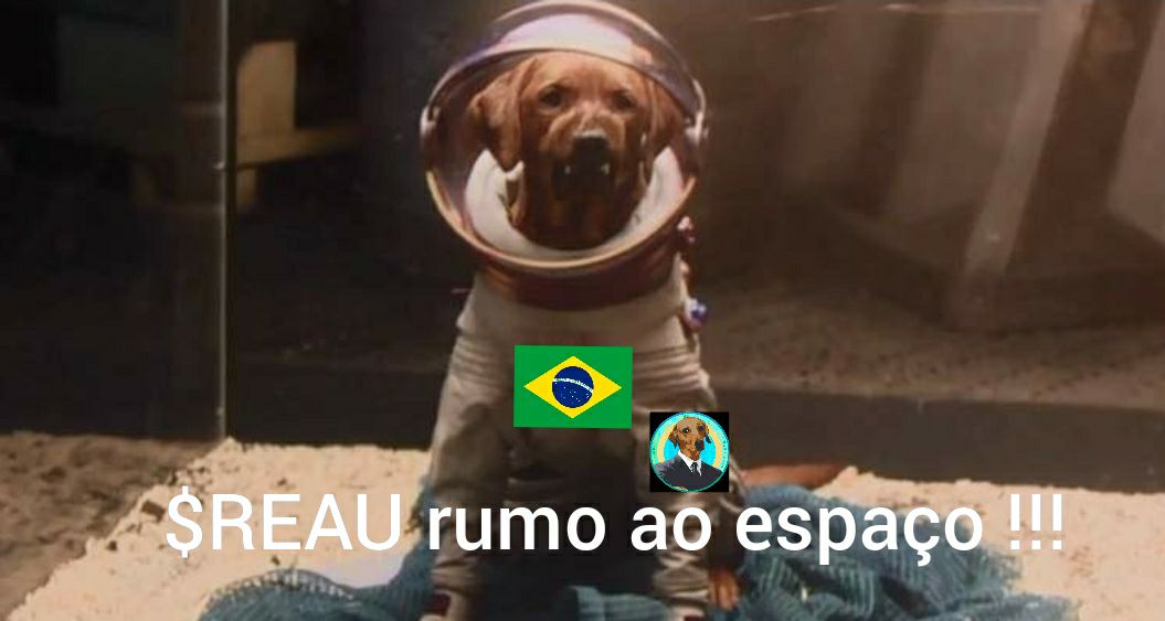 meme $REAU