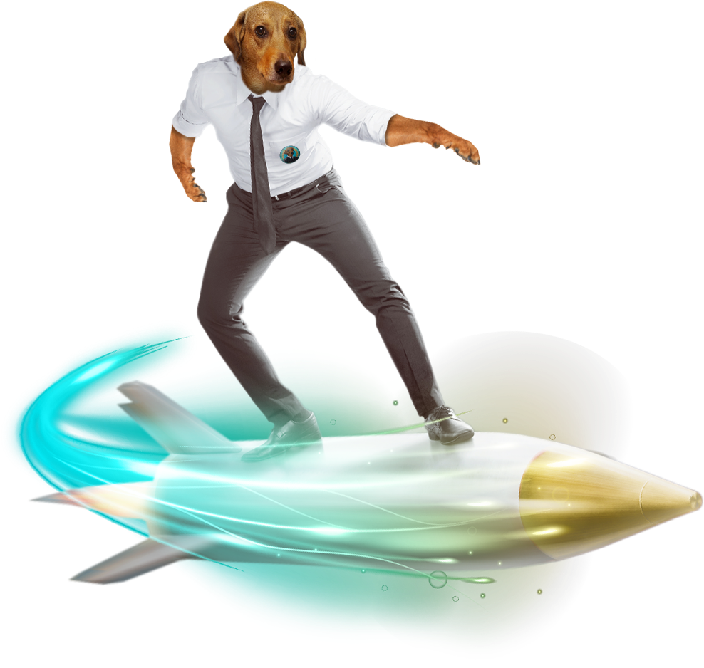 Rocket Doggo